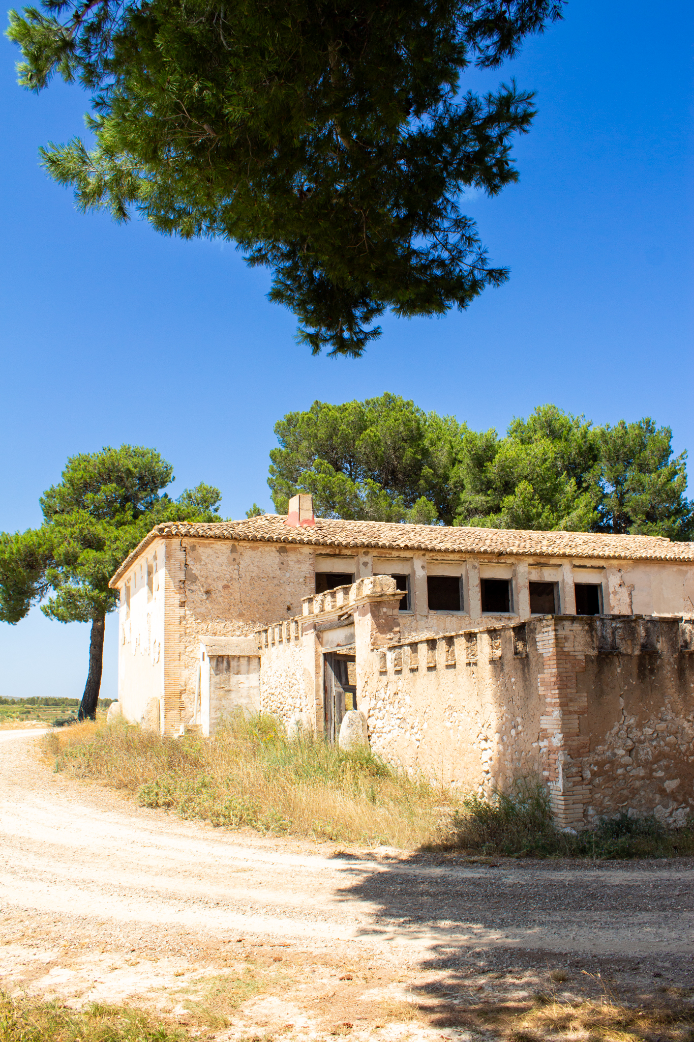 Fotografía de la finca Casa L’Altet de Reguera en el Valle Íbero de Moixent, con sus viñedos integrados en el proyecto de recuperación del territorio de Proyecto Origen.