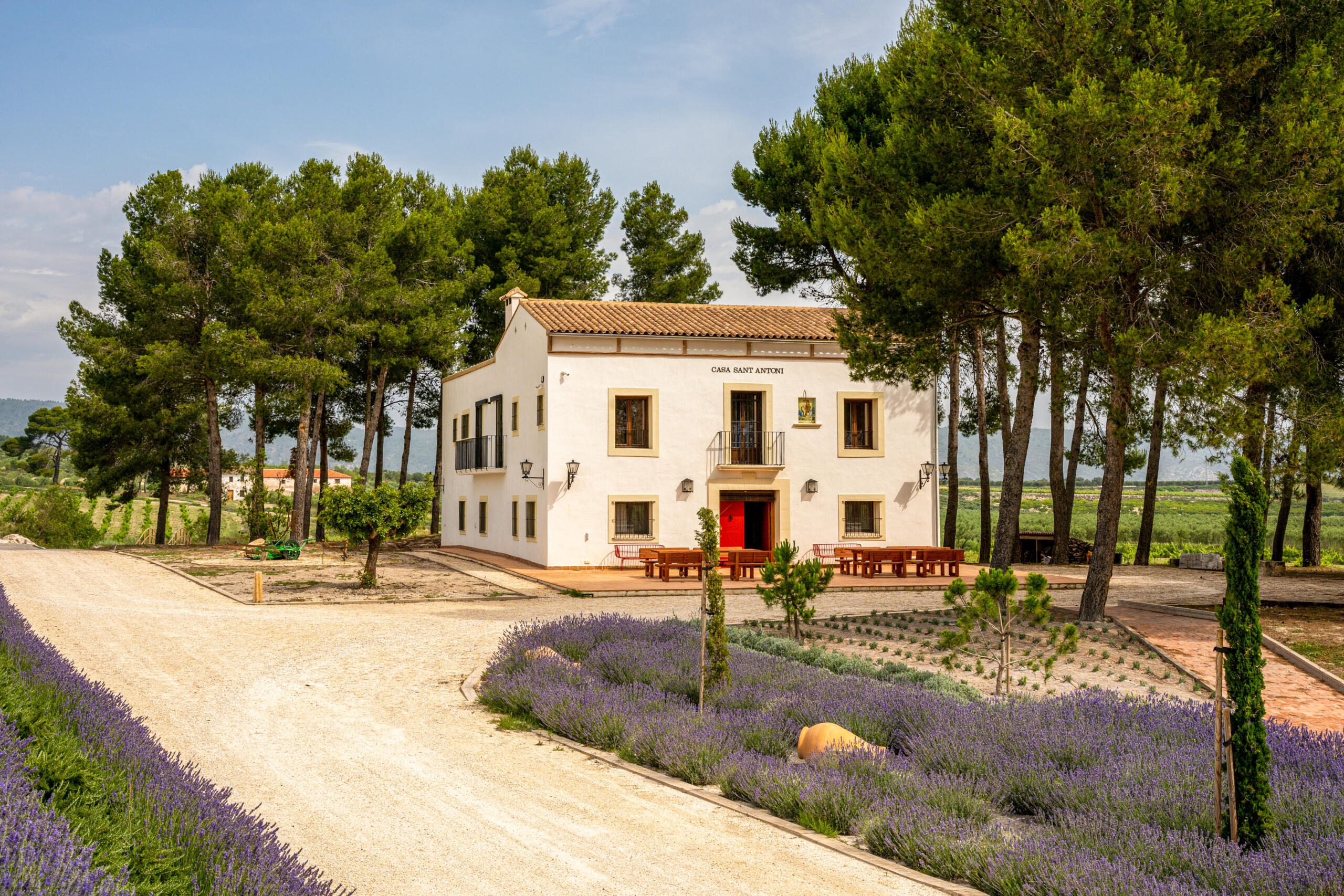 Casa Sant Antony y Casa La Muda con viñedos y paseo de lavanda en Proyecto Origen