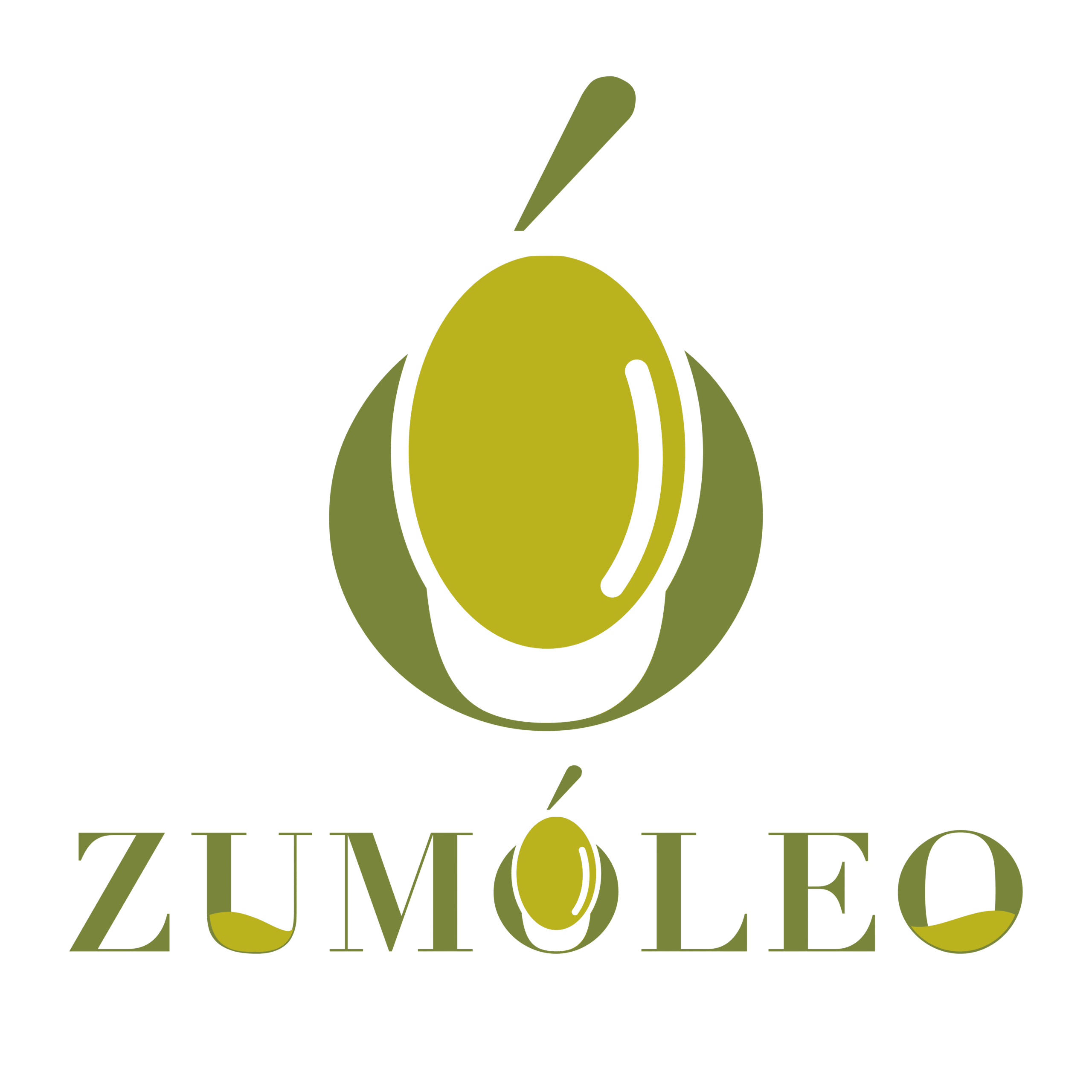 Zumóleo, aceite de oliva del territorio mediterráneo interior